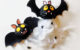 bricolage halloween facile diy lampion chauve souris enfant